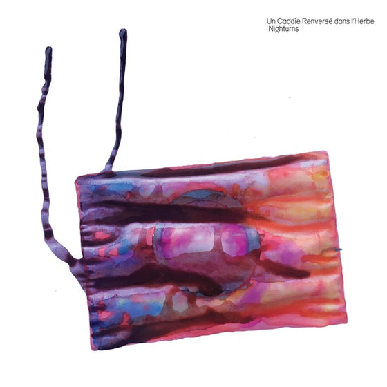 UN CADDIE RENVERSE DANS L'HERBE - Nighturns CD