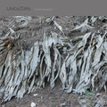 UNICAZURN - Transpandorem Vinyl LP