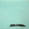 U.S. Maple - Acre Thrills Vinyl