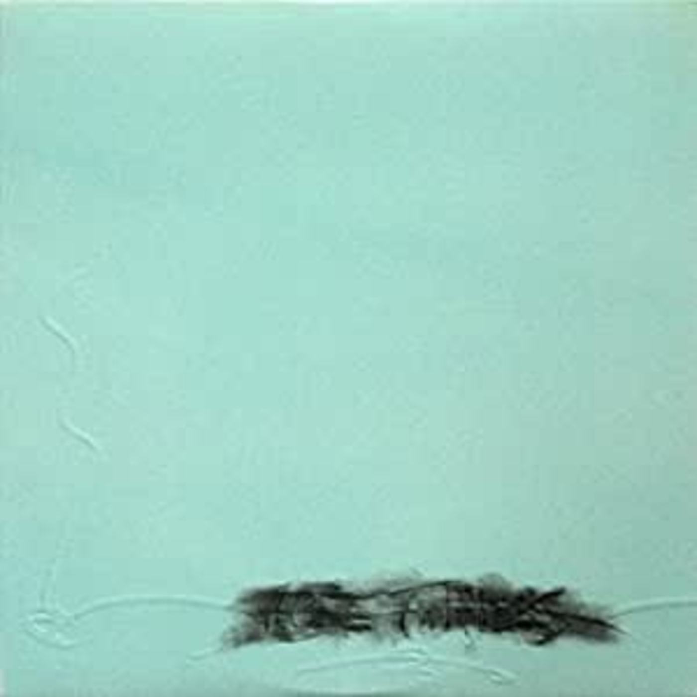 U.S. Maple - Acre Thrills Vinyl