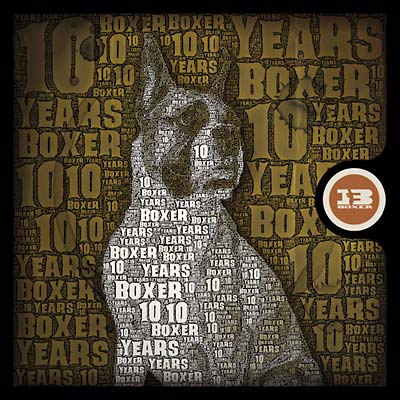 Va - 10 Years Of Boxer CD