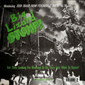 Va - Big Lizard Stomp! Volume 2: Teen Trash from Psychedelic Tokyo '66-'69 CD CD