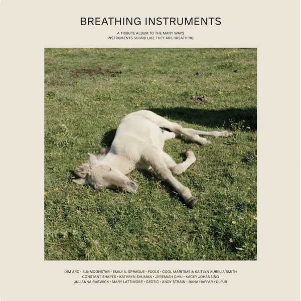 Va - Breathing Instruments Vinyl 2LP