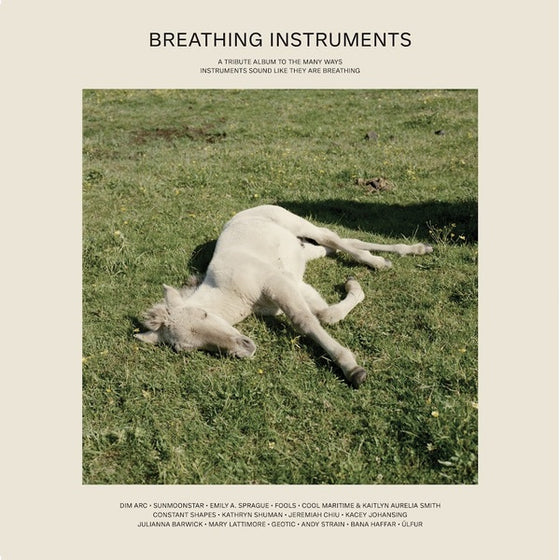 Va - Breathing Instruments Vinyl 2LP