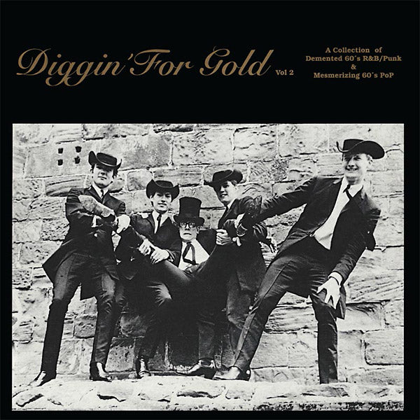 Va - Diggin' For Gold Volume 2 Vinyl LP