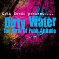 Va - Dirty Water: The Birth Of Punk Attitude CD 2CD