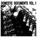 Va - Domestic Documents Vol. 1: Compiled by Butter Sessions and Noise In My Head Vinyl 2LP