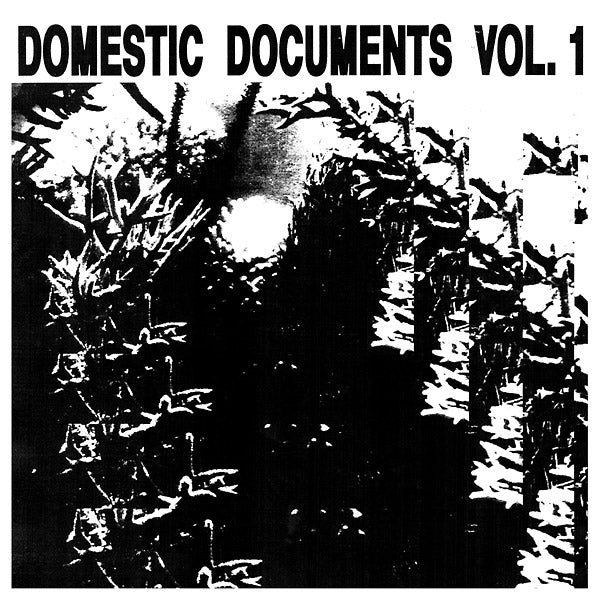 Va - Domestic Documents Vol. 1: Compiled by Butter Sessions and Noise In My Head Vinyl 2LP
