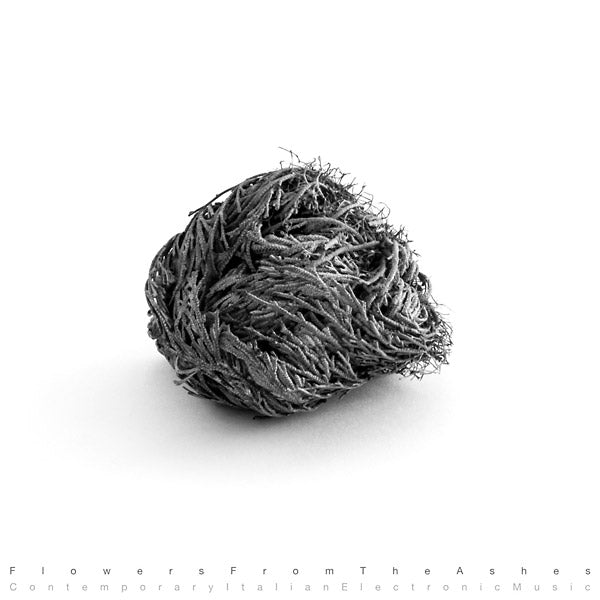 Va - Flowers From The Ashes: Contemporary Italian Electronic Music CD CD