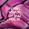 Va - Future Sounds Of Jazz Vol. 12 CD 2CD