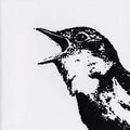 Va - Nightingale Variations CD CD