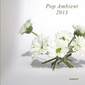 Va - Pop Ambient 2013 CD CD