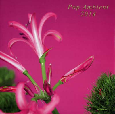 Va - Pop Ambient 2014 CD CD