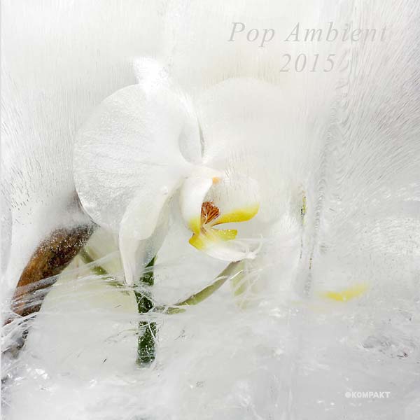 Va - Pop Ambient 2015 CD CD
