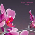 Va - Pop Ambient 2016 Vinyl LP+CD