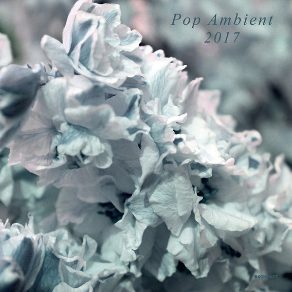 Va - Pop Ambient 2017 Vinyl LP