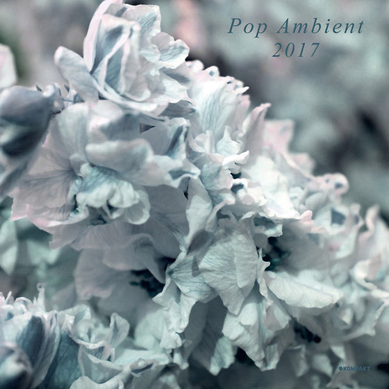 Va - Pop Ambient 2017 CD