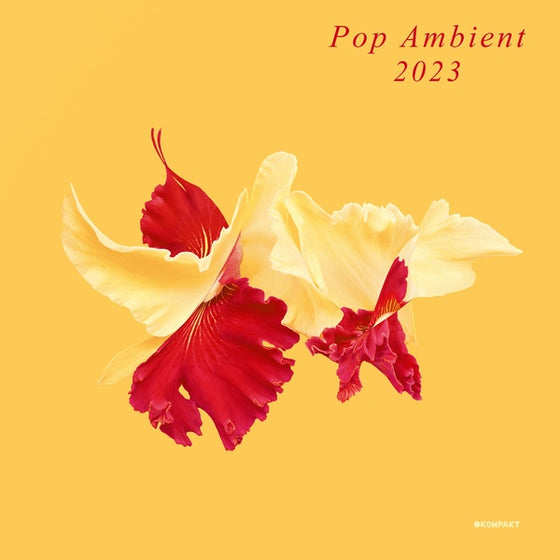 Va - Pop Ambient 2023 Vinyl LP