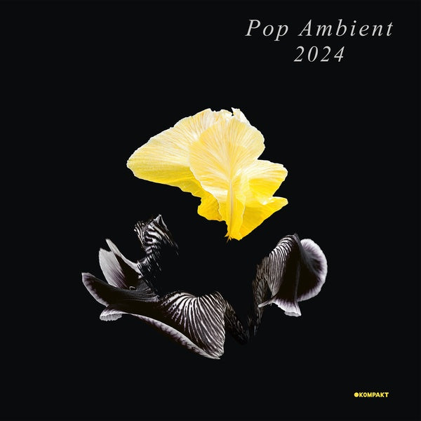 Va - Pop Ambient 2024 Vinyl LP