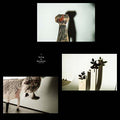 Va - Sailing to Byzantium Vinyl 4 x10" BOX