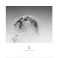 Va - X -- Ten Years Of Artefacts Vinyl 3LP