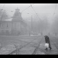 Vadim Neselovskyi - Perseverantia CD