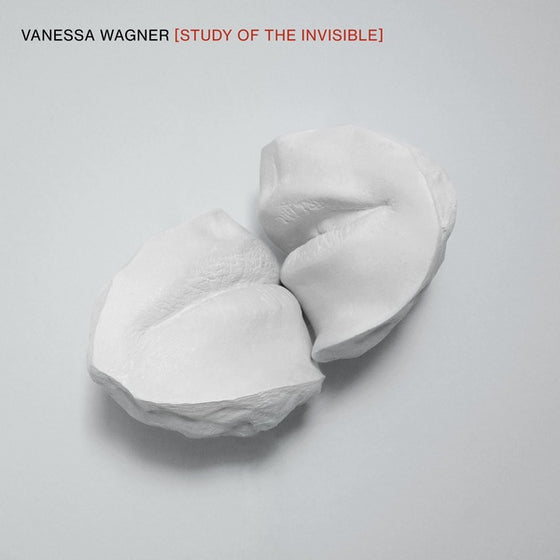 VANESSA WAGNER - Study of the Invisible Vinyl 2LP