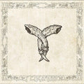 Varde - Fedraminne Vinyl LP