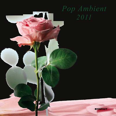 Various Artists - Ambient 2011 CD CD