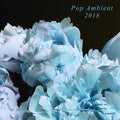Various Artists - Pop Ambient 2018 Vinyl LP