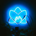 Various Artists - Radiating Light Vinyl LP