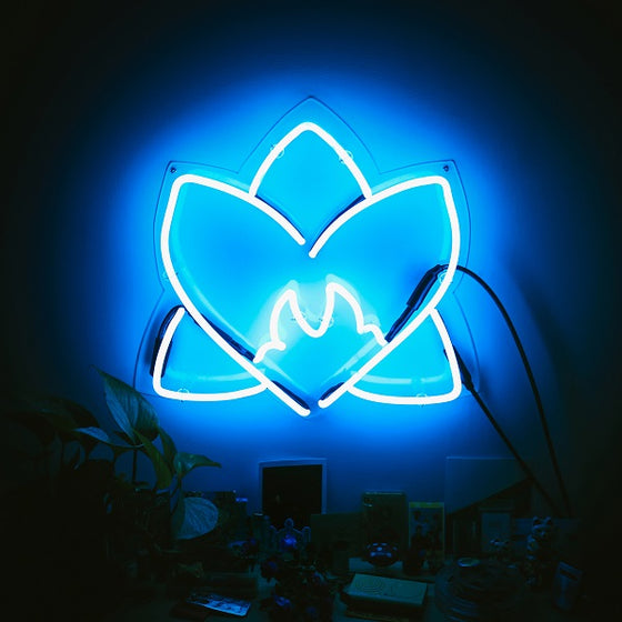 Various Artists - Radiating Light Vinyl LP