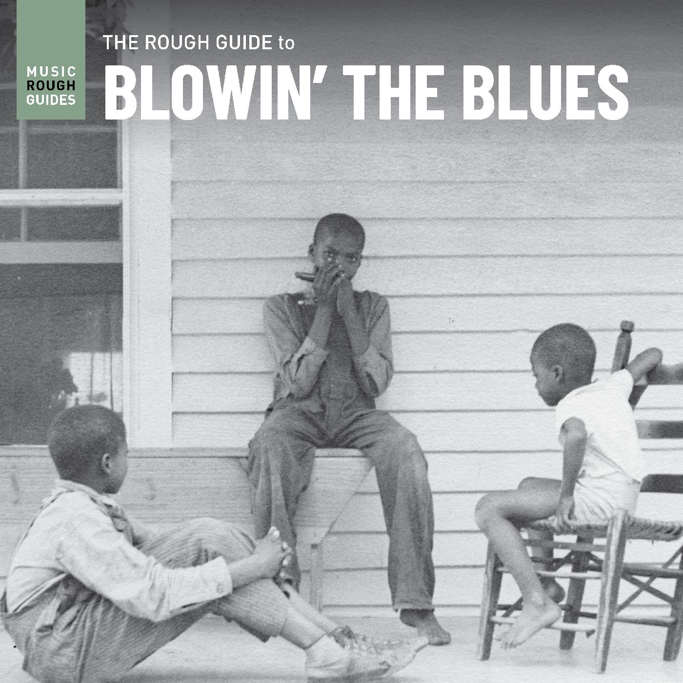 Various Artists - Rough Guide To Blowinâ€™ The Blues Vinyl LP