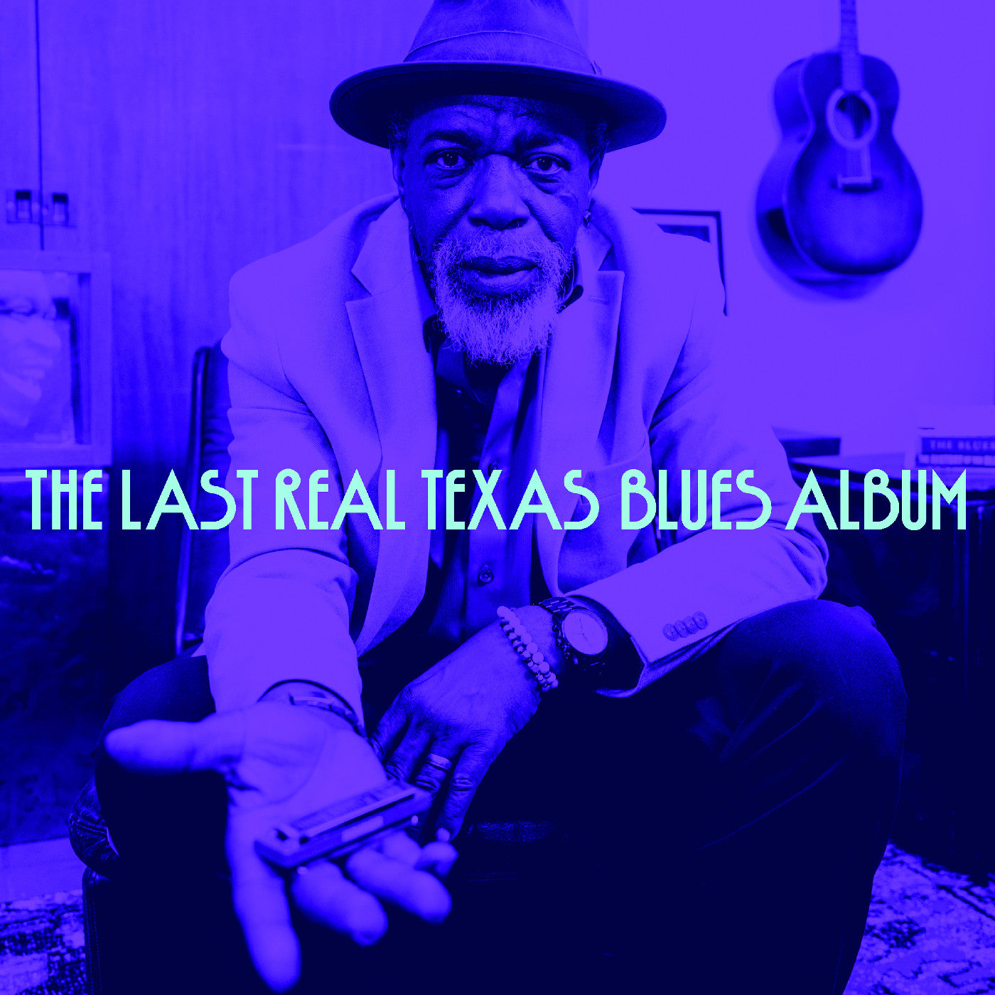 Various Artists - The Last Real Texas Blues Album Vinyl