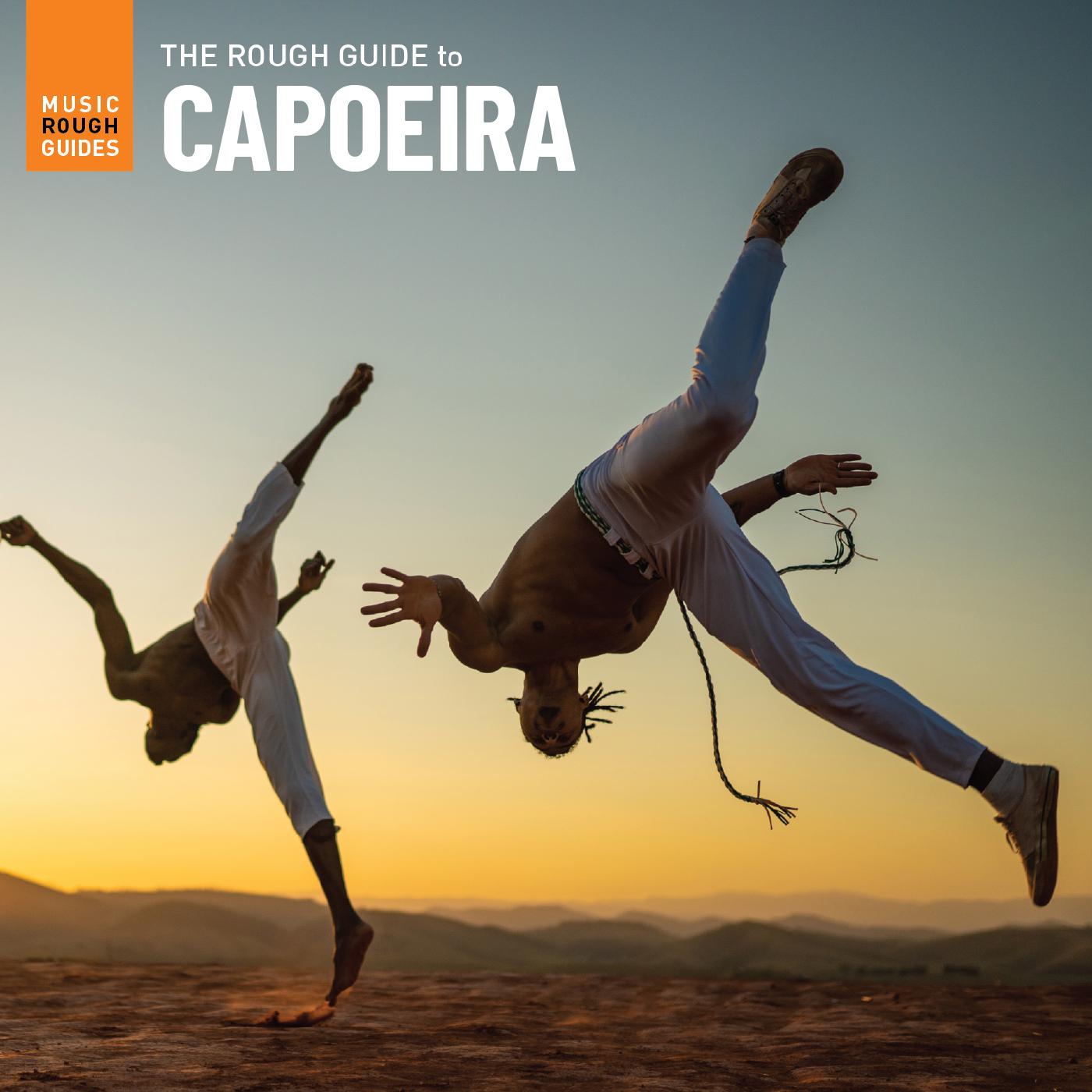 Various Artists - The Rough Guide To Capoeira Vinyl LP