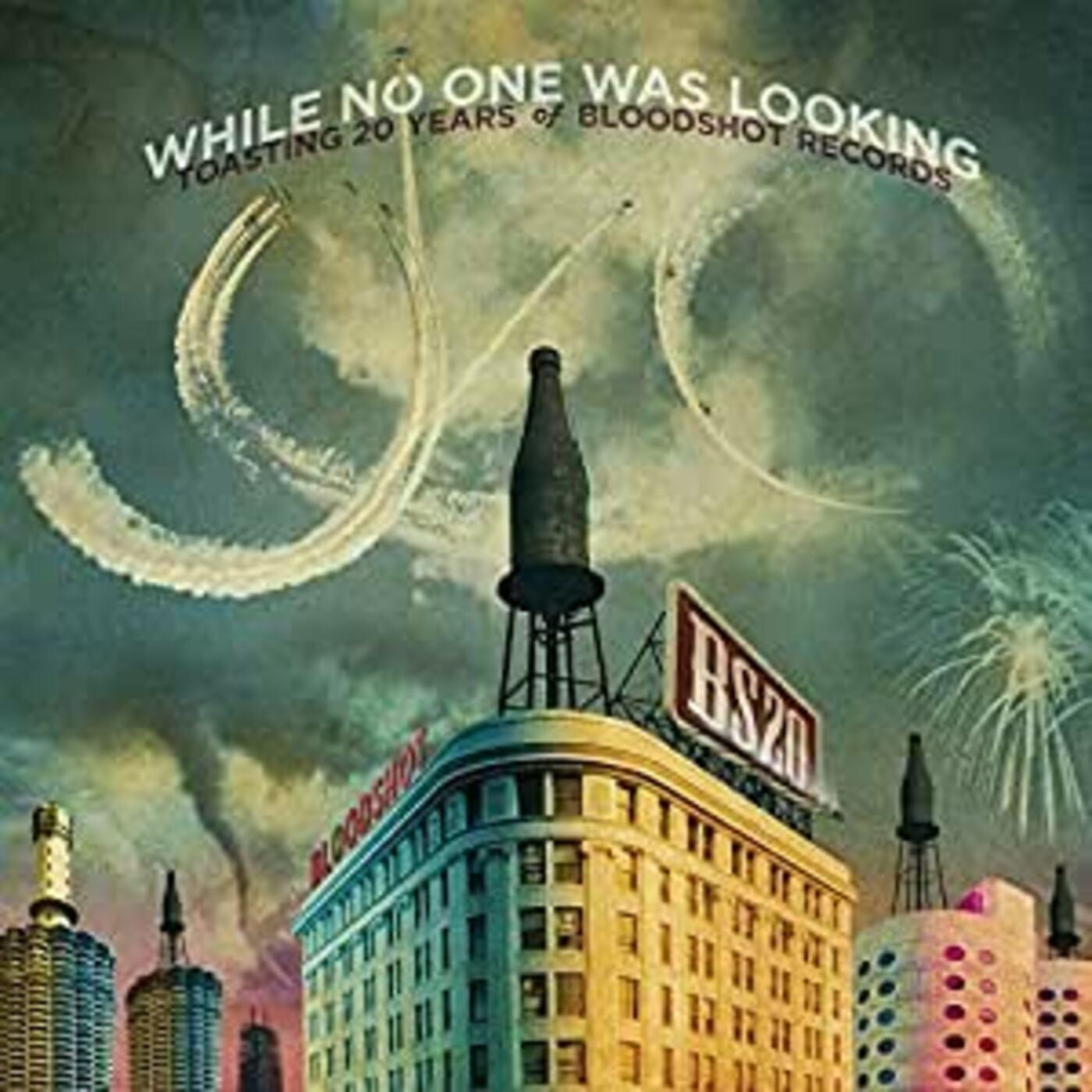 Various Artists - While No One Was Looking: Toasting 20 Years Vinyl LP