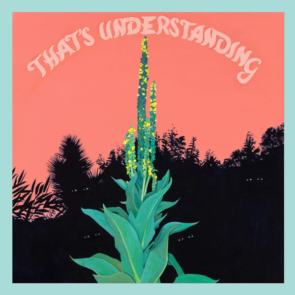 VILLAGE OF SPACES - That's Understanding CD CD