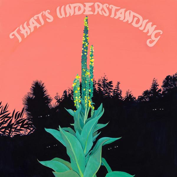 VILLAGE OF SPACES - That's Understanding Vinyl LP