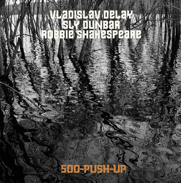 VLADISLAV DELAY/SLY DUNBAR/ROBBIE SHAKESPEARE - 500-Push-Up CD CD