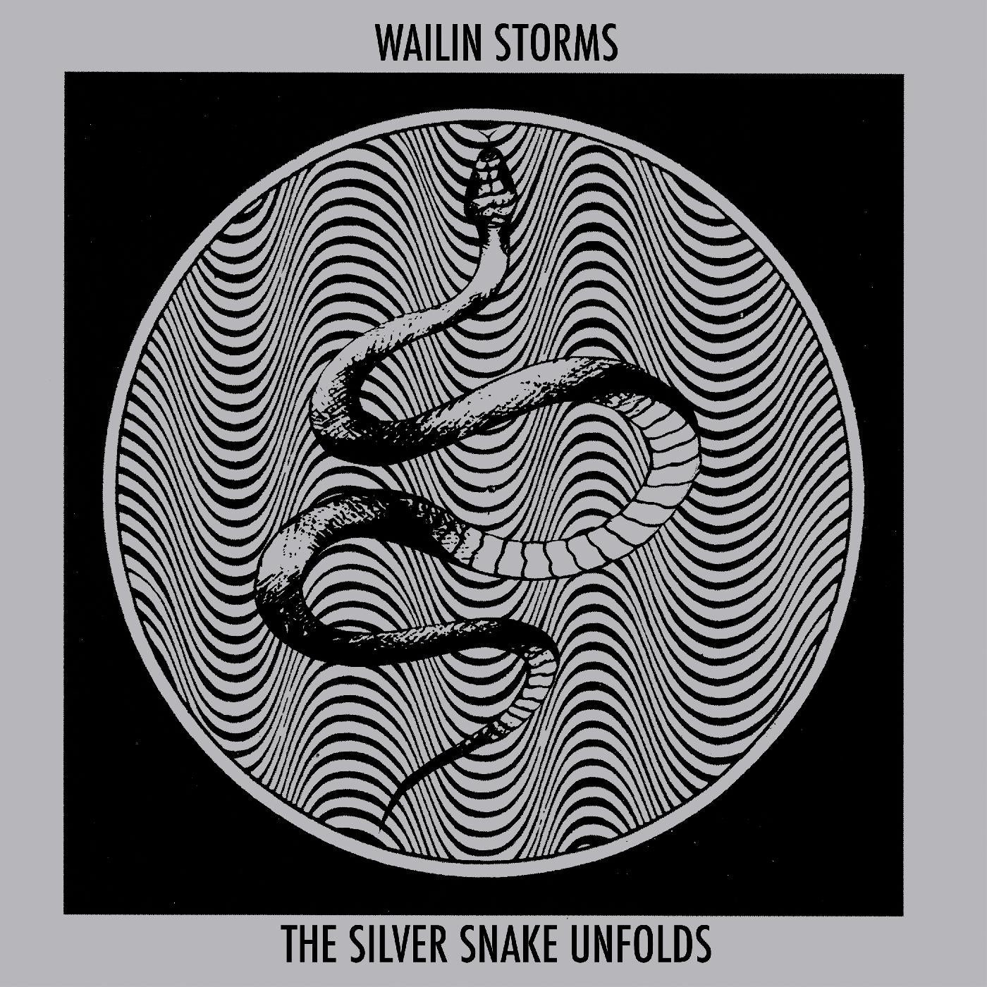 Wailin Storms - The Silver Snake Unfolds (CLEAR WITH BLUE COLOR-IN-COLOR VINYL) Vinyl LP Clear With Blue Color-In-Color Vinyl