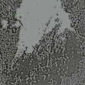 WALLS - Urals CD CD