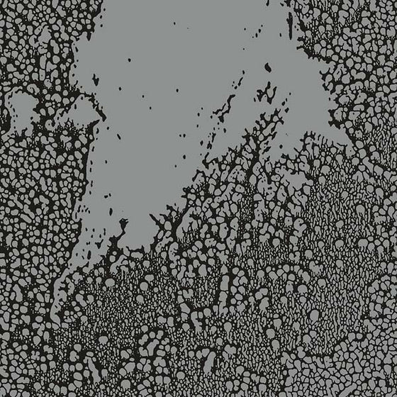 WALLS - Urals CD