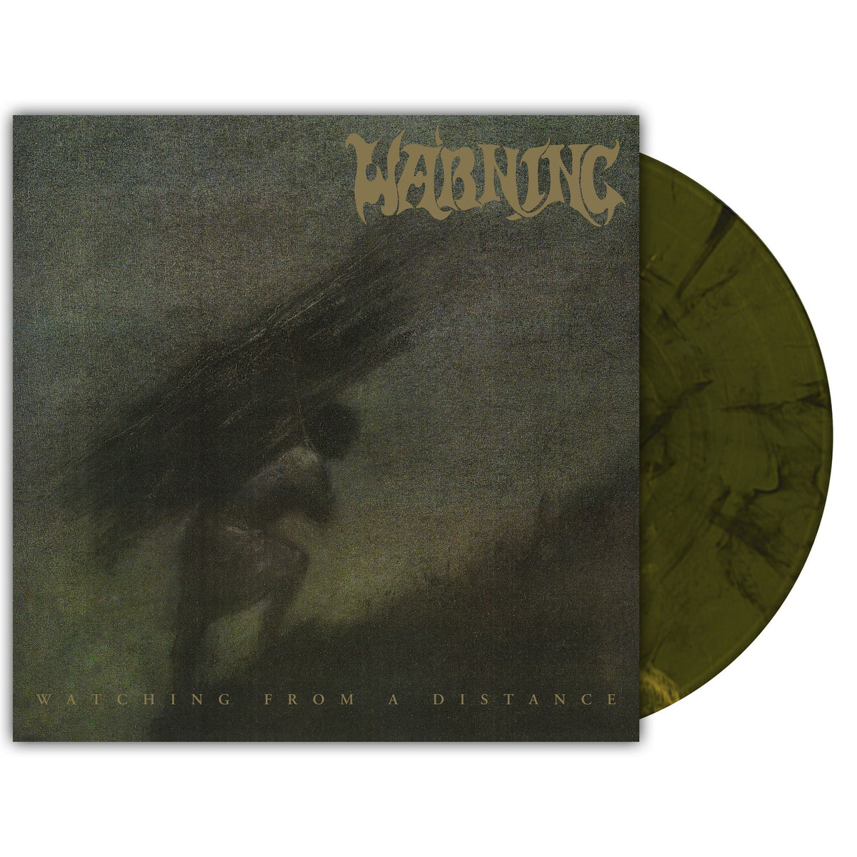 Warning - Watching From A Distance [Labradorite Marble Vinyl] [2LP] Vinyl