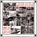Waxahatchee - American Weekend (Red/White Swirl Vinyl) Vinyl