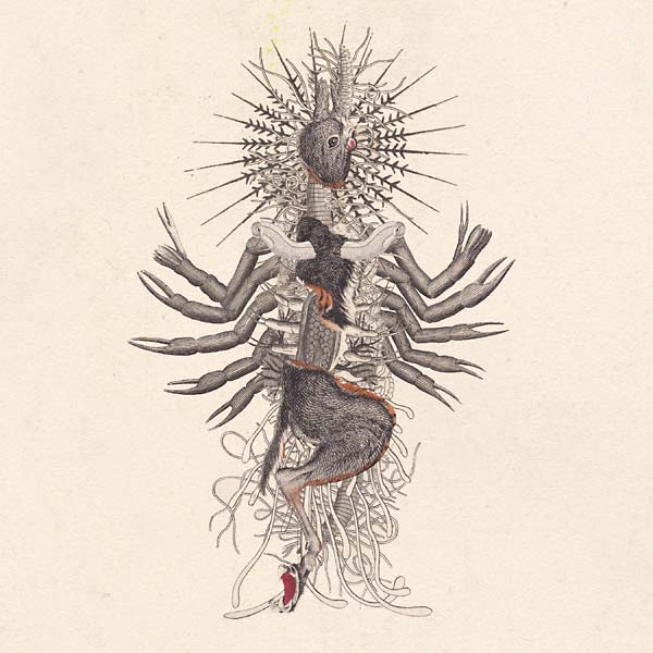 WE WILL FAIL - Verstorung CD CD