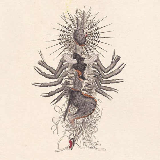 WE WILL FAIL - Verstorung CD