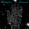 Whiskeytown - Pneumonia [Clearwater Blue] [2Lp] Vinyl