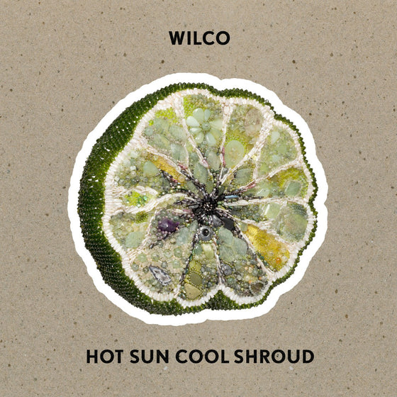 Wilco - Hot Sun Cool Shroud Vinyl