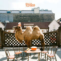 Wilco - Wilco: The Album (Bonus CD) (180 Gram Vinyl) Vinyl