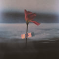 Will Samson - Paralanguage (CLEAR VINYL) Vinyl LP Limited edition first pressing on clear vinyl [w/ download card]